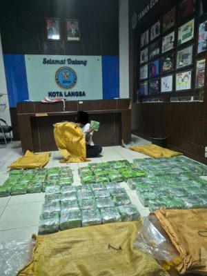 Operasi Gabungan BNN dan Bea Cukai Gagalkan Peredaran 100 Kg Sabu di Aceh Timur