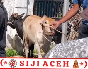 Dugaan Manipulasi Dana Bantuan Daging Megang Untuk Korban Terdampak Banjir Aceh